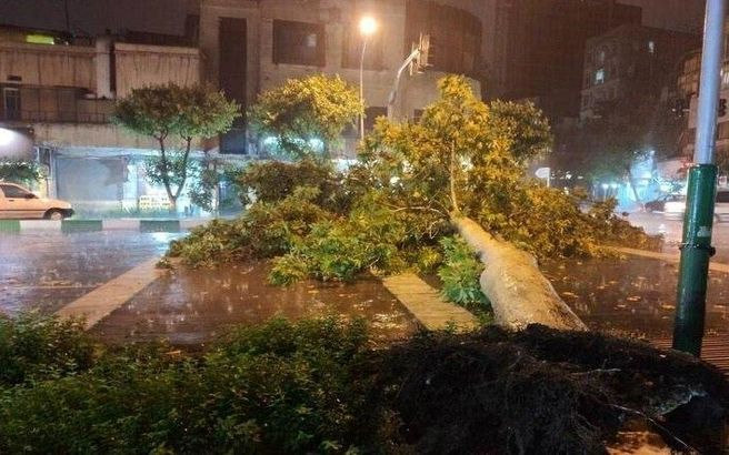 سقوط درخت در خیابان کارگر شمالی تهران براثر توفان دیشب + عکس