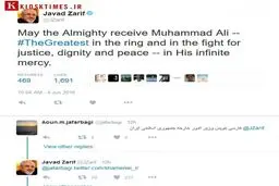 واکنش محمدجواد ظریف به یک تذکر توییتری/ عکس