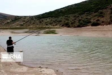 فینارود