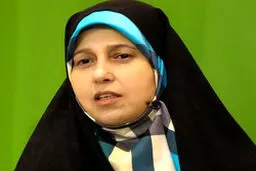 پروانه سلحشوری: ورود زودهنگام رئیس دولت اصلاحات به خاطر کاهش نزاع‌های درونی بود