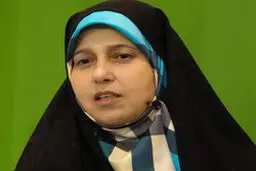 پروانه سلحشوری: ورود زودهنگام رئیس دولت اصلاحات به خاطر کاهش نزاع‌های درونی بود