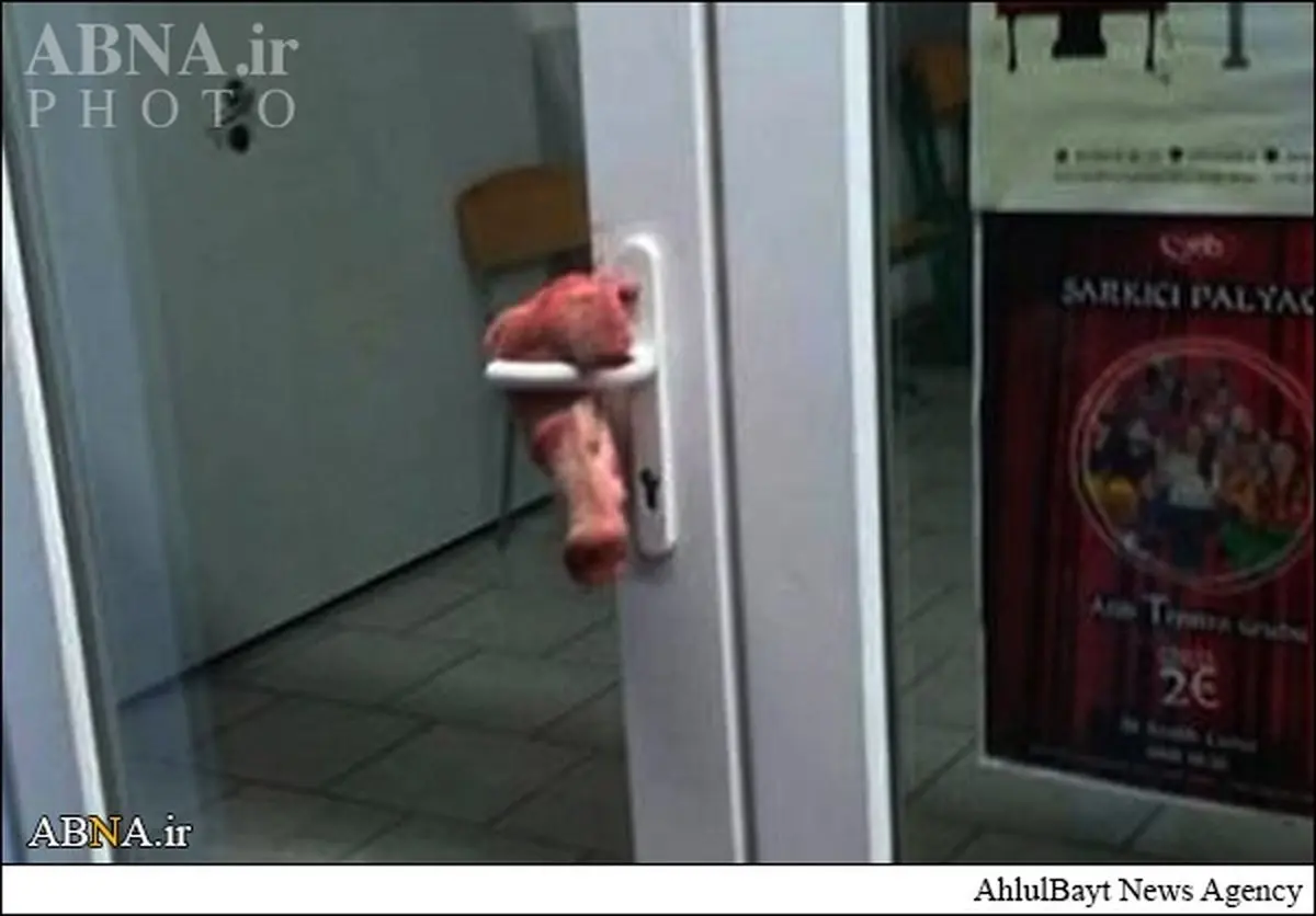 بی‌احترامی نژادپرستان به مسجد مسلمانان وین/ عکس