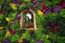 روایت تصویری از چهارگوشه جهان