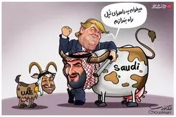 دامداری تپل در آمریکا+کاریکاتور