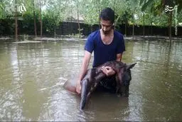 تصویری دردناک از خسارت سیل در گیلان