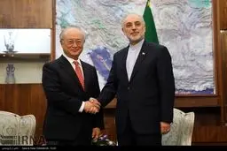 دیدار آمانو با صالحی/تصاویر