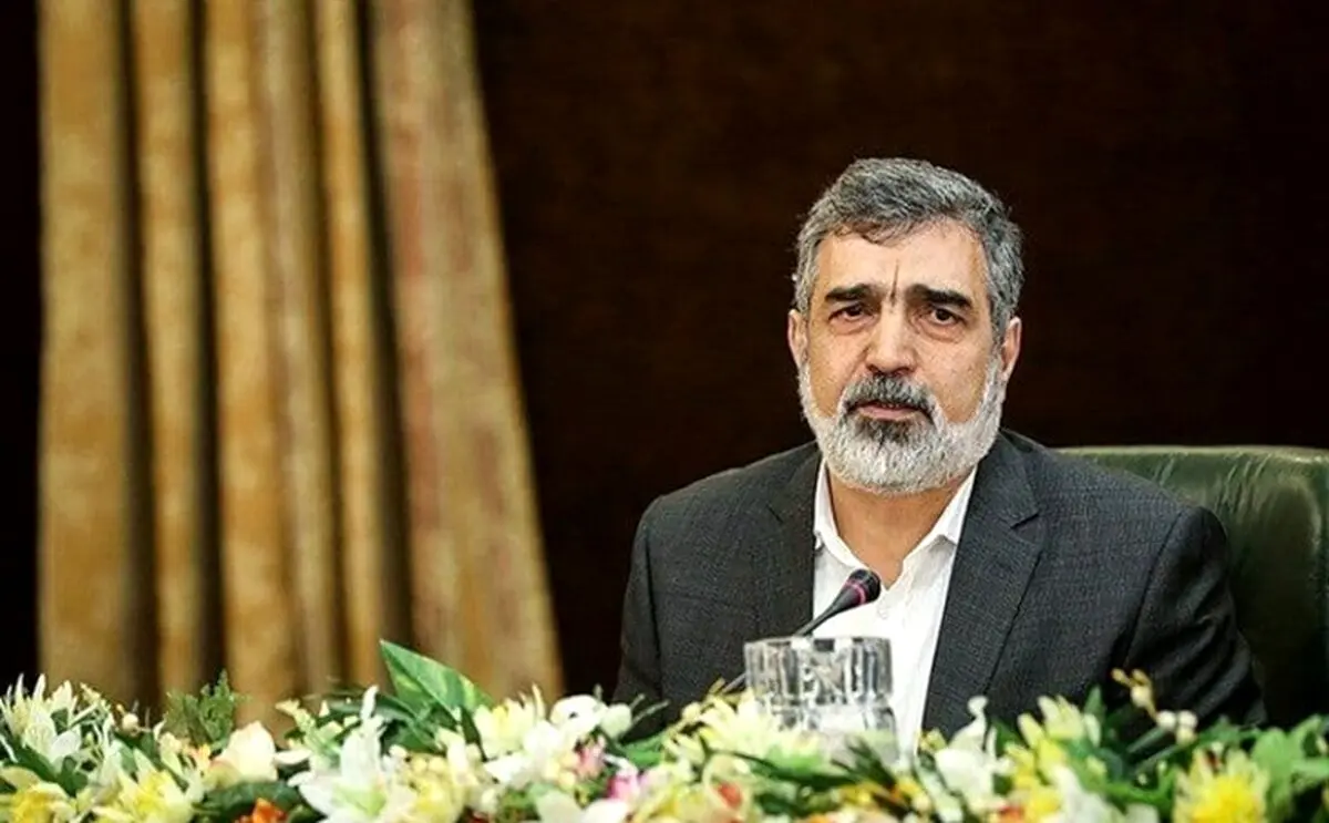 مخالفت سازمان انرژی اتمی با طرح مجلس/ کمالوندی: اجرا نکردن پروتکل الحاقی نسبت به برنامه هسته‌ای ایران ابهام ایجاد می‌کند