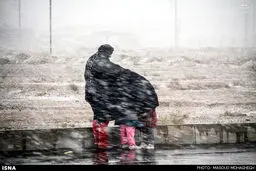 دیدنی‌ترین عکس از یک روز برفی