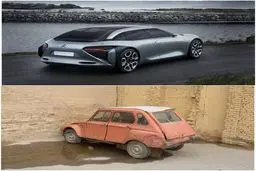 عکس جالب سیر تکامل ژیان