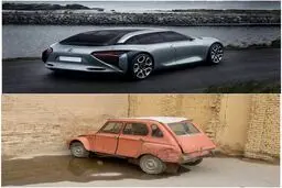 عکس جالب سیر تکامل ژیان