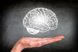 باهوش ها زیاد عمر می کنند؟