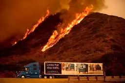 تصاویری از جهنم مهارنشدنی در جنگل‌های کالیفرنیا