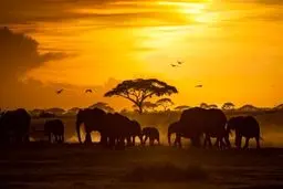 عکس / غروب زیبای خورشید در عکس روز نشنال جئوگرافیک