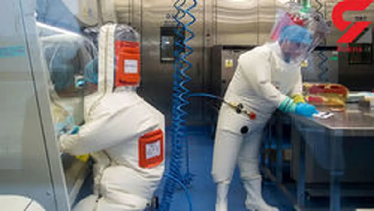 افشاگری بزرگ از یک آزمایشگاه چینی / آزمایش بر روی هزاران خفاش یا سلاح‌های میکروبی و شیوع کرونا