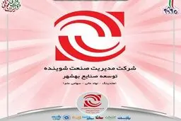 تدبیر هلدینگ بیدسیم و همکاری وزارت خارجه برای جهش صادرات محصولات شوینده