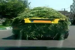 پراید گیاه‌خوار! / عکس