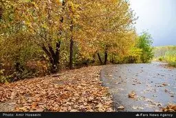 زیبایی‌های پاییز را در این تصاویر ببینید