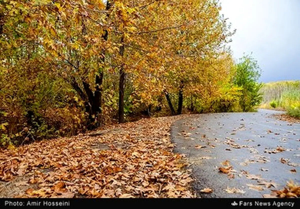 زیبایی‌های پاییز را در این تصاویر ببینید