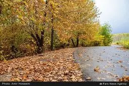 زیبایی‌های پاییز را در این تصاویر ببینید