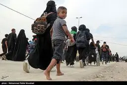 تصاویری از حضور کودکان در پیاده روی اربعین حسینی