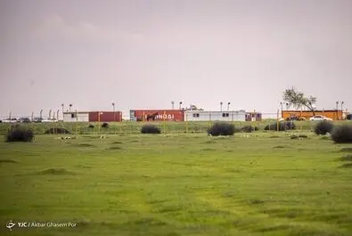 میانکاله