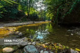 تصاویری زیبا از طبیعت دیدنی «پلنگ دره»