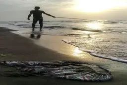 غرق در زباله / تصاویر