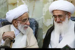 گفت‌وگوی آیت‌الله جنتی با آیت‌الله نوری همدانی/ عکس