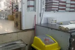 نگهداری از شیرینی در جعبه میوه کنار سطل زباله در قنادی معروف تهران+عکس