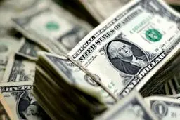 قیمت دلار و قیمت یورو امروز یکشنبه 21 دی ماه 99 + جدول