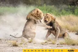 اسرار وحش از نگاه نشنال جئوگرافیک / عکس