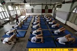 روز جهانی یوگا در تمام کشورها+تصاویر