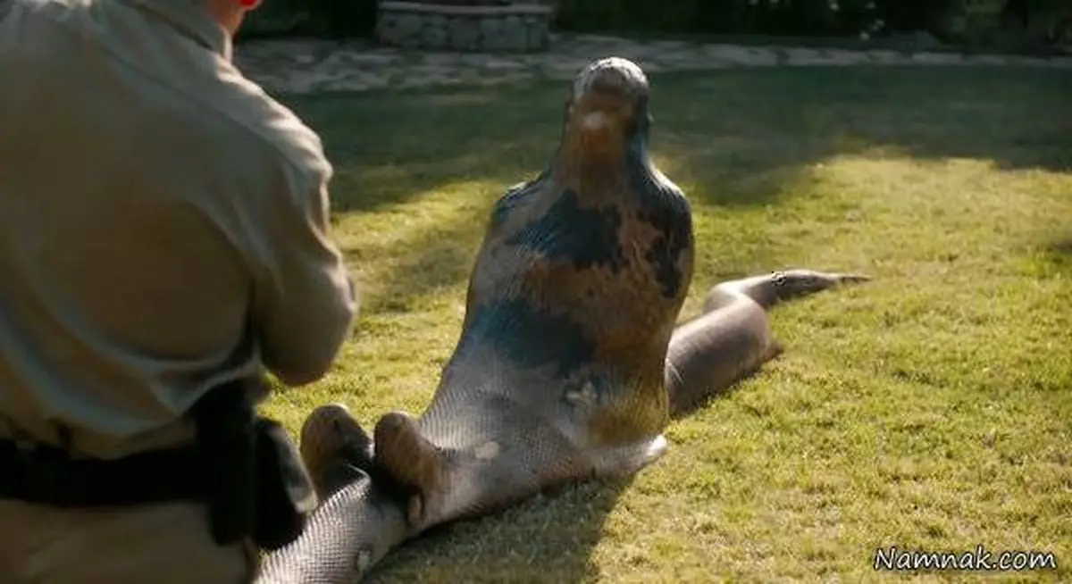 مردی که مار او را خورد اما زنده ماند/عکس