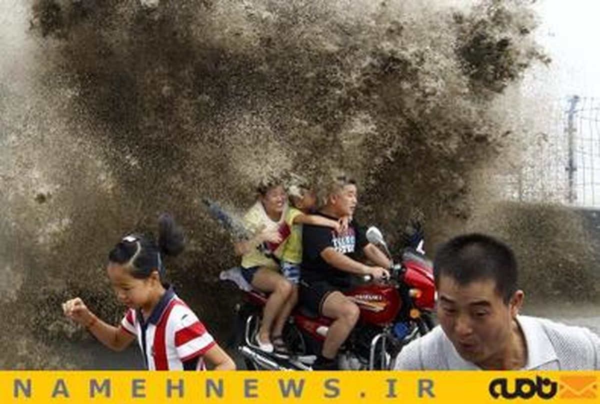 عکس‌های منتخب آگوست رویترز
