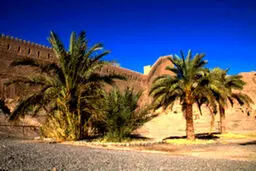 چند سکانس تصویری از «ارگ بم»؛ ۱۴ سال پس از زلزله