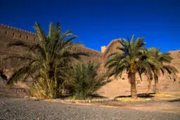 چند سکانس تصویری از «ارگ بم»؛ ۱۴ سال پس از زلزله