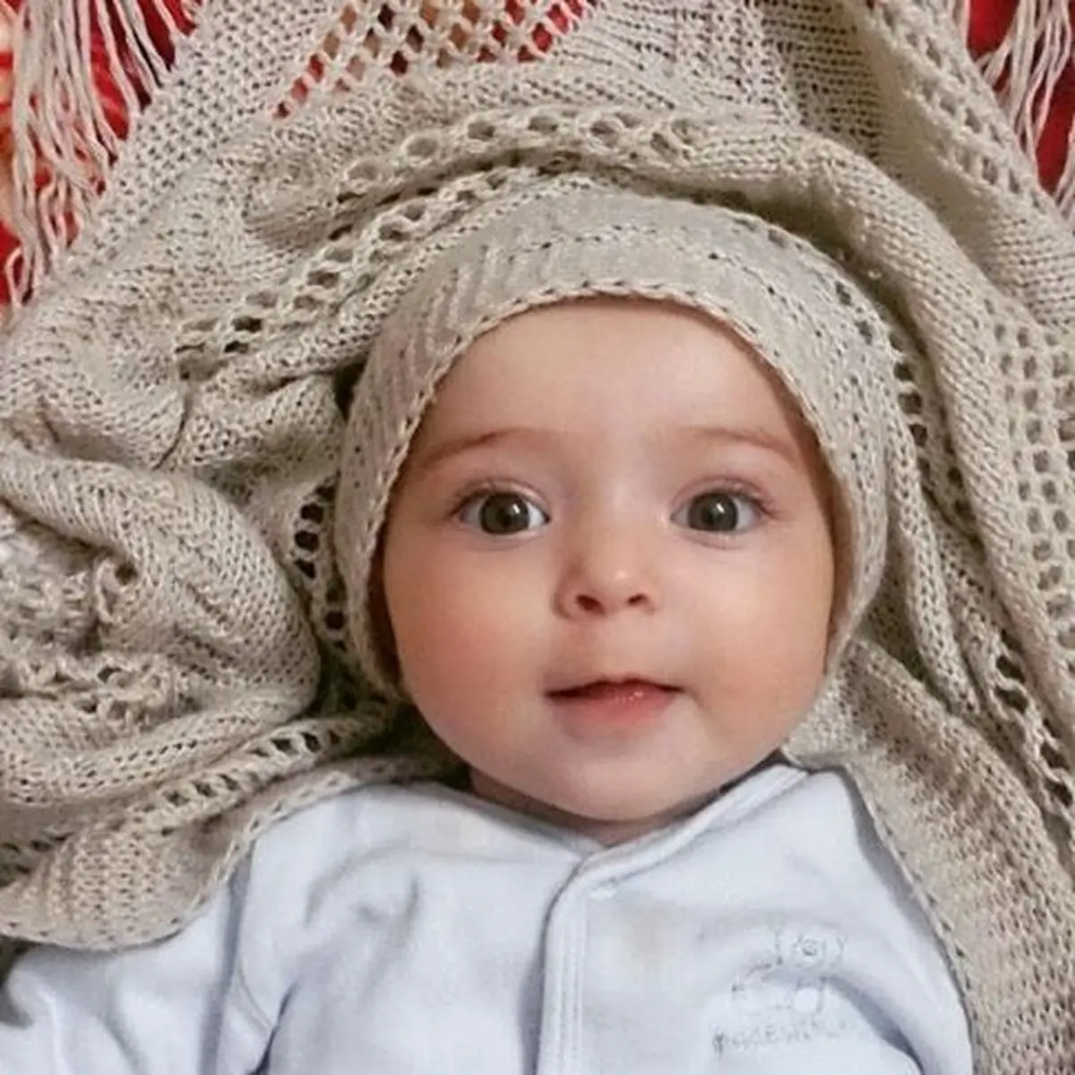شباهت جالب آزاده نامداری و دخترش گندم! عکس