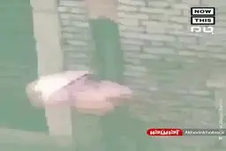 پرسه عروس دریایی در خیابان‌های ونیز! + ویدئو