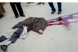 آیا منافقین در قتل طلبه همدانی دست داشتند؟ / معاون دادستان کل توضیح داد