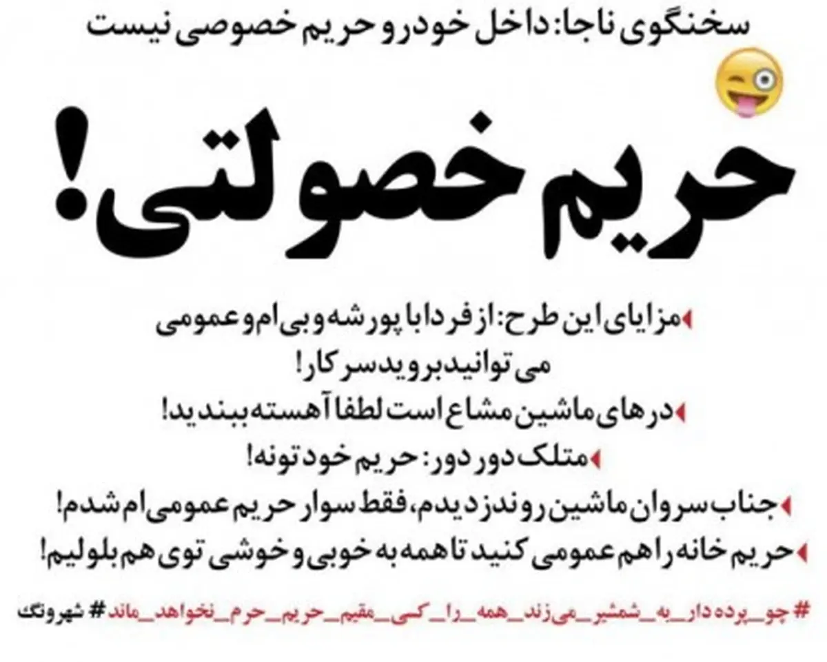 تکلیف حریم داخل خودرو یکسره شد!/طنز +عکس