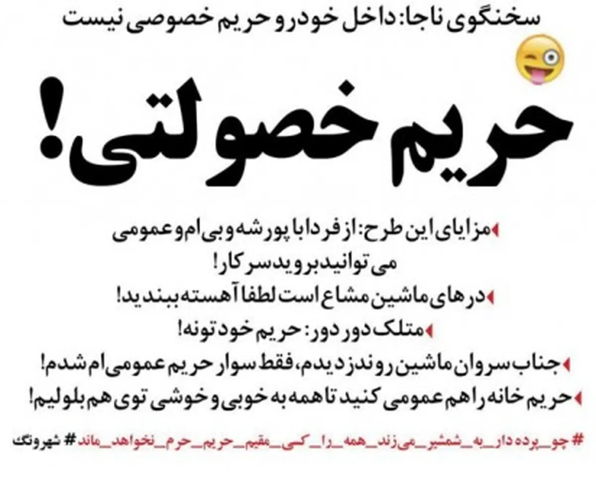 تکلیف حریم داخل خودرو یکسره شد!/طنز +عکس