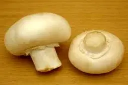 سبزی سفید پر خاصیت! +عکس