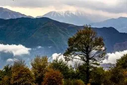 الیمستان، جنگلی رویایی در مازندران (+عکس)