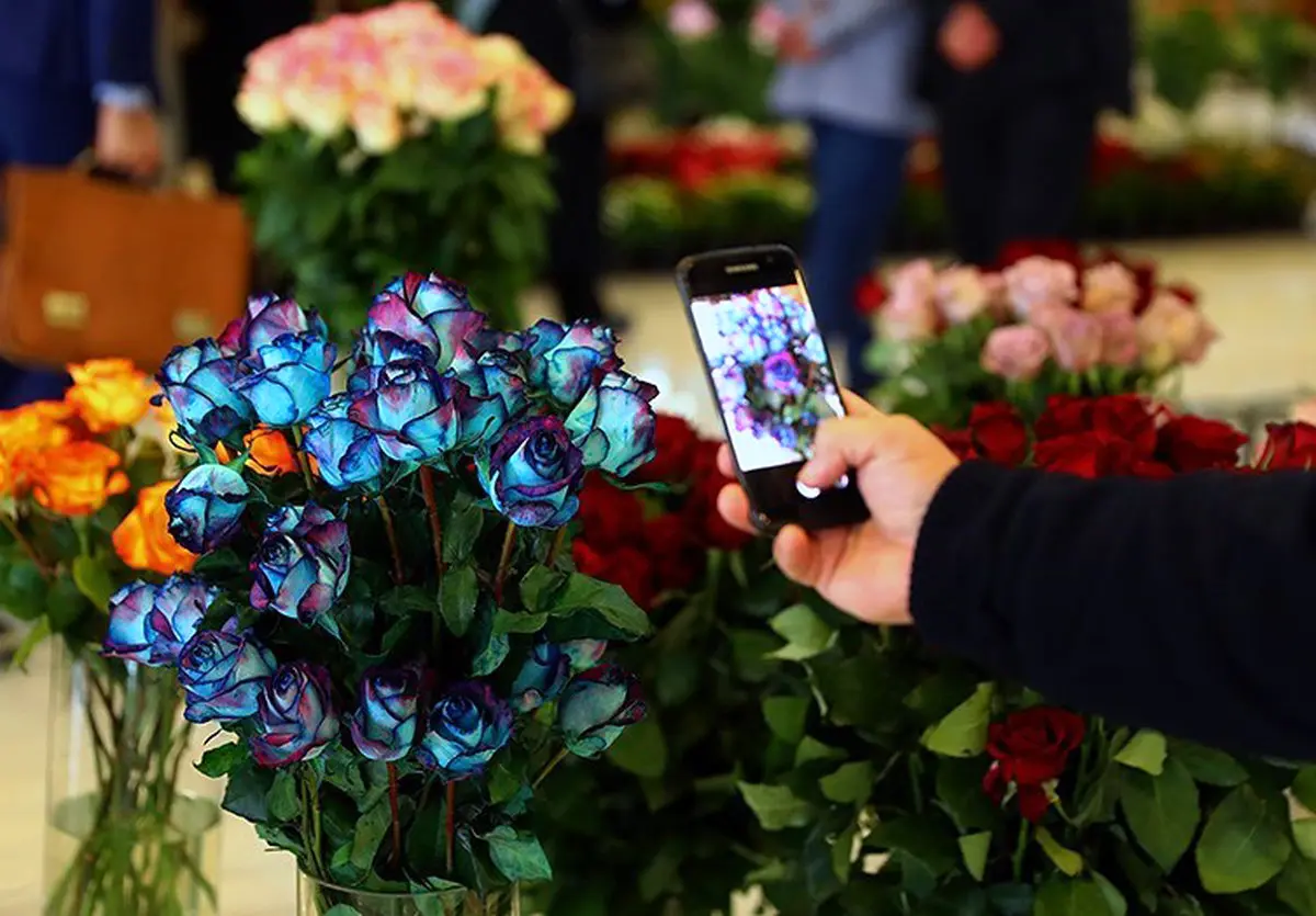 تصاویر/ افتتاح نمایشگاه گل و گیاه