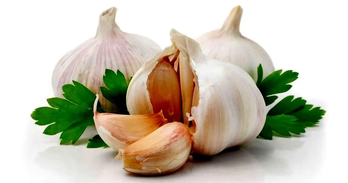 خوراکی‌های سفید رنگی که حتما باید به رژیم غذایی‌تان اضافه کنید