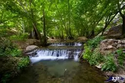 عکسی از بهشت گمشده ایران