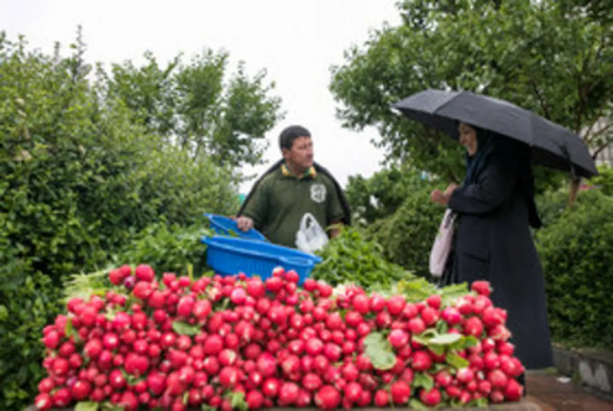 تصاویری از زیبایی های بارش باران بهاری را ببینید