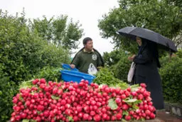 تصاویری از زیبایی های بارش باران بهاری را ببینید