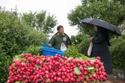 تصاویری از زیبایی های بارش باران بهاری را ببینید
