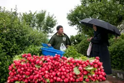 تصاویری از زیبایی های بارش باران بهاری را ببینید